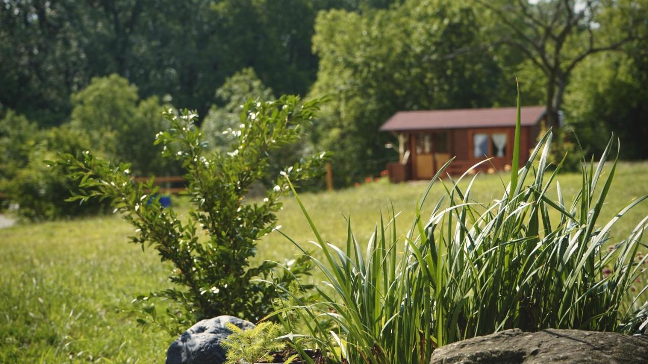 Vila Cozy Wood Hut On The Farm Trebivlice Exteriér fotografie